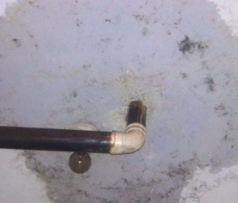 景县卫生间防水哪家好