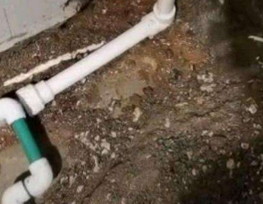 景县卫生间测漏水服务电话