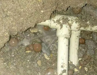 景县卫生间测漏