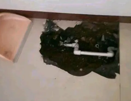 景县卫生间测漏水多少钱